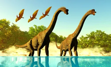 Noi specii de dinozauri au fost descoperite în România