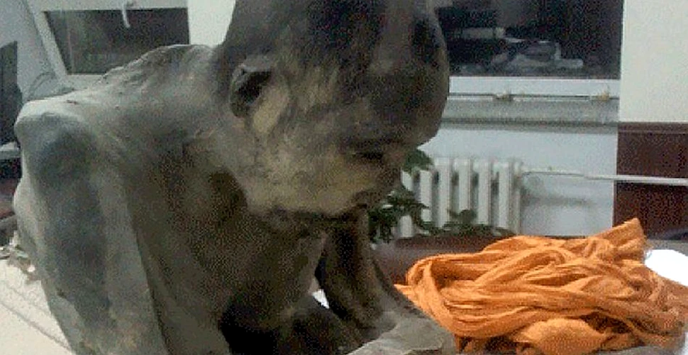 A fost descoperită mumia unui călugăr budist aflat încă în poziţie de meditaţie (FOTO)