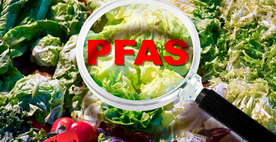 Ce sunt PFAs, substanțele care nu dispar aproape niciodată?