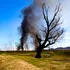 Un nou incendiu a izbucnit în Delta Dunării