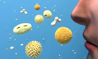 Maşina anti-alergică ajută persoanele sensibile să depăşească mai uşor „sezonul polenului”