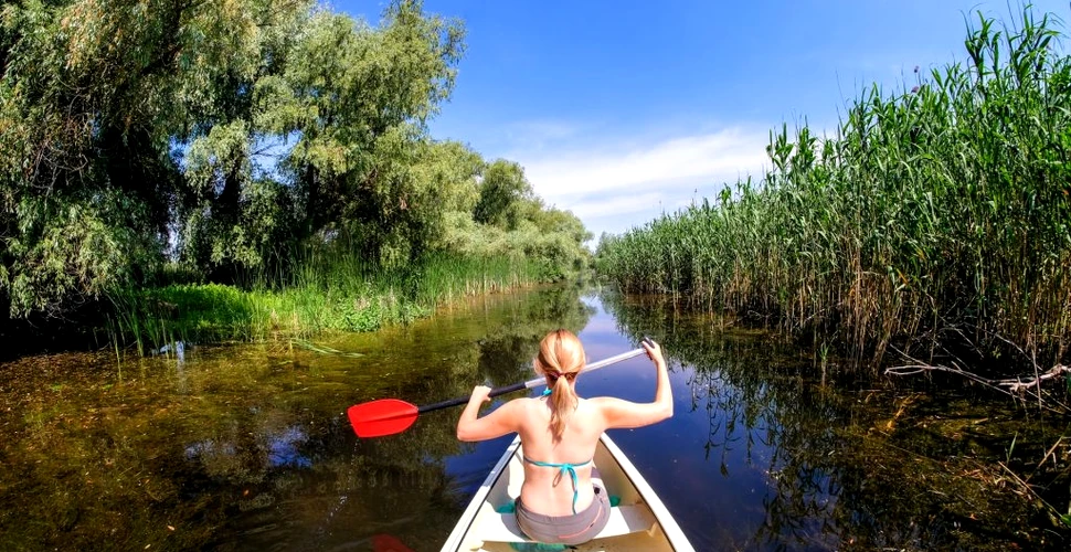 Excursiile de o zi în Delta Dunării, un produs turistic toxic pentru natură