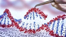 O terapie genetică inovatoare a vindecat un tânăr de o boală cumplită