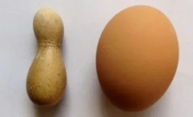 Cel mai straniu ou din lume