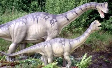 Urme ale unui dinozaur gigant pe teritoriul Canadei