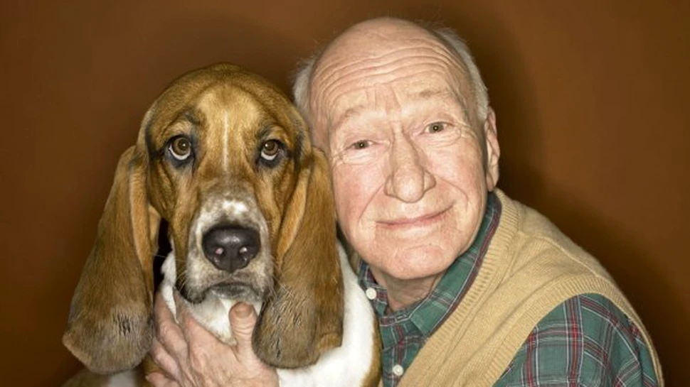 Un caine – cel mai bun medicament