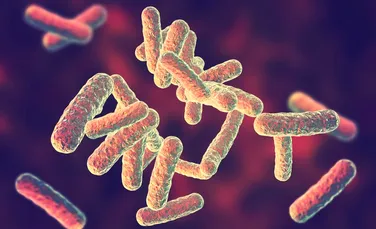 O descoperire din interiorul unui vierme ar putea să fie o modalitate mai eficientă în lupta împotriva bacteriilor rezistente la antibiotice