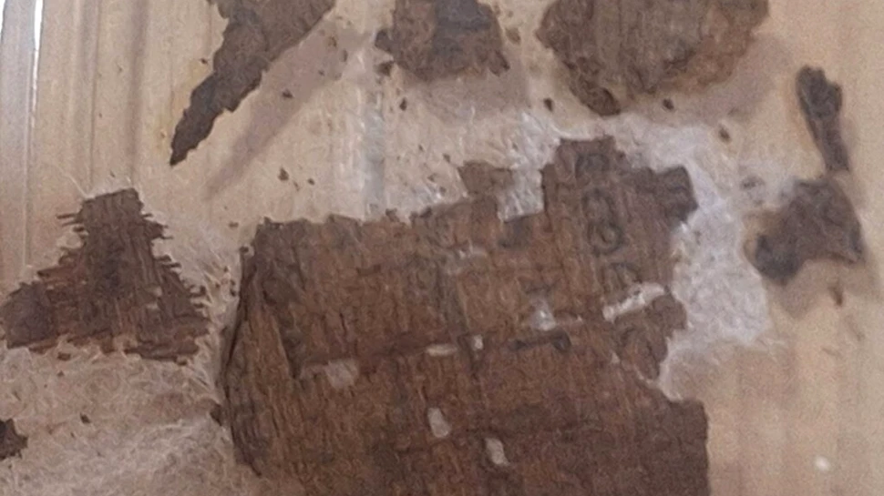 Fragment din Iliada lui Homer, găsit în interiorul unei mumii din epoca romană