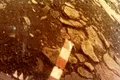 Singurele fotografii făcute vreodată pe suprafața „infernală” a planetei Venus