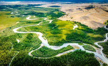 Verile din Siberia arctică au fost cu până la 10°C mai calde decât astăzi în timpul ultimei interglaciațiuni