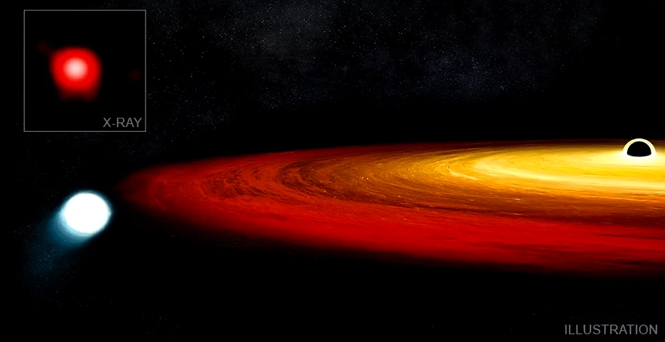 Astronomii au descoperit o stea care a fost aproape înghițită de o gaură neagră, însă a supraviețuit