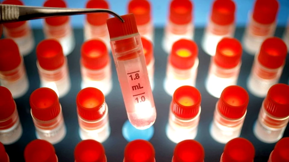 Geneticienii au obţinut un rezultat de EXCEPŢIE. „Pot fi utilizate în cazuri medicale diverse”