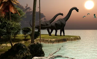 O descriere amănunţită asupra unor fosile poate scoate la iveală unul dintre cele mai mari mistere ale dinozaurilor