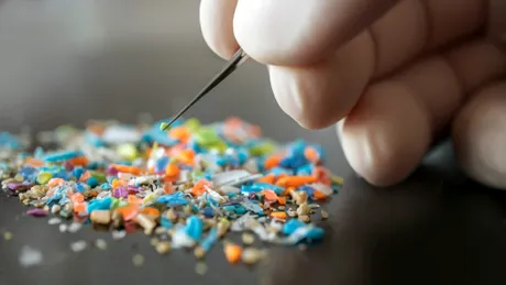 Microplasticele din ambalajele alimentare, pericol pentru intestin