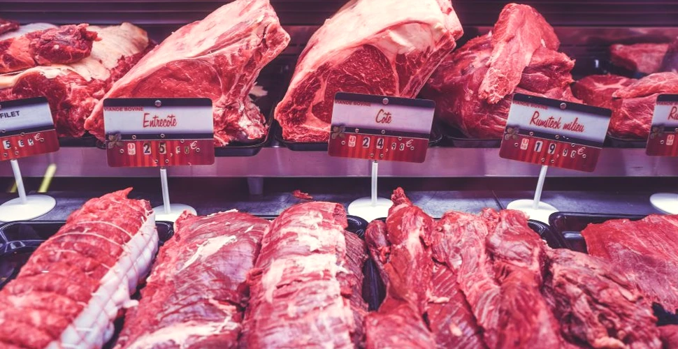 ”Carnea” crescută în laborator, mult mai ieftină decât cea naturală, va deveni în curând o realitate