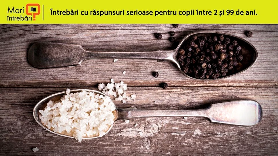 De ce folosim sarea şi piperul pentru a condimenta mâncarea?