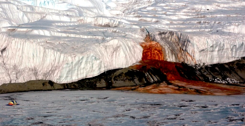 Un ghețar din Antarctica „sângerează” și nedumerește oamenii de știință