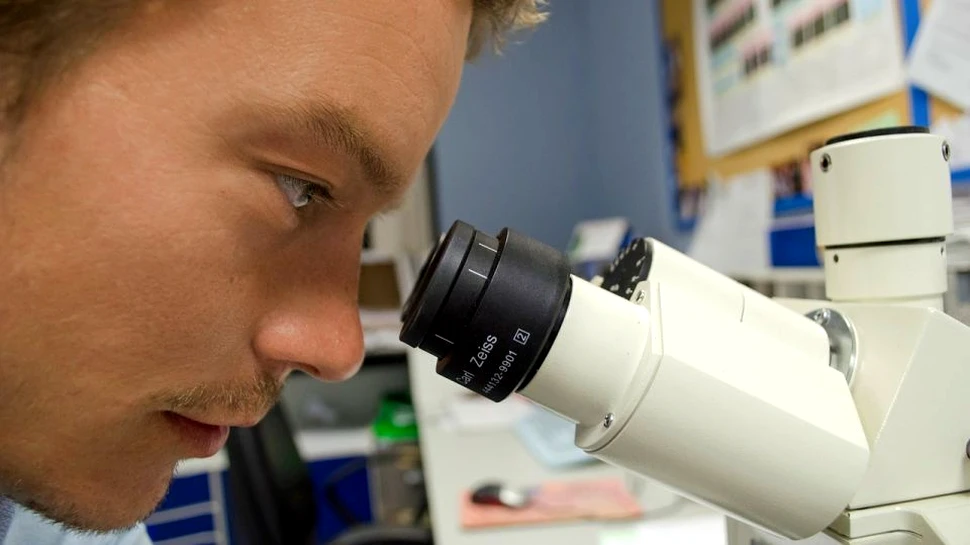 O modalitate de creştere a speranţei de viaţă a viermilor cu 500% ar putea avea implicaţii şi asupra oamenilor