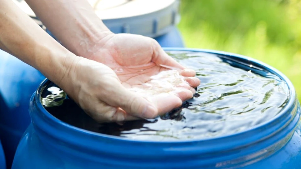 Test de cultură generală. Apa de ploaie este bună de băut?