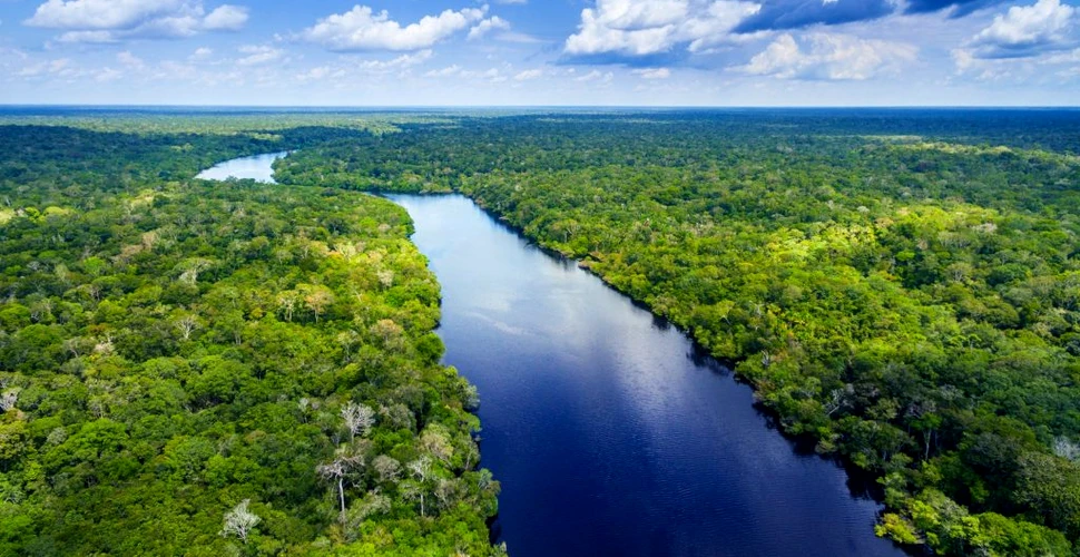 Pădurea Amazoniană este în impas din cauza crizei climatice. Ce arată datele?