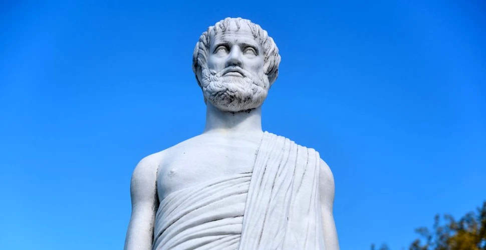 Meniul lui Aristotel creat de un profet în gastronomie. Ce mânca marele filosof grec