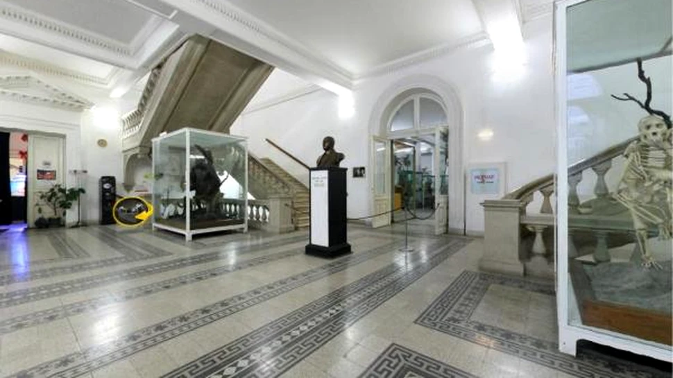 Muzeul National de Istorie Naturala ”Grigore Antipa” poate fi vizitat virtual