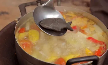 Un doctor canadian a inventat un peşte de fier care vindecă anemia – VIDEO + FOTO