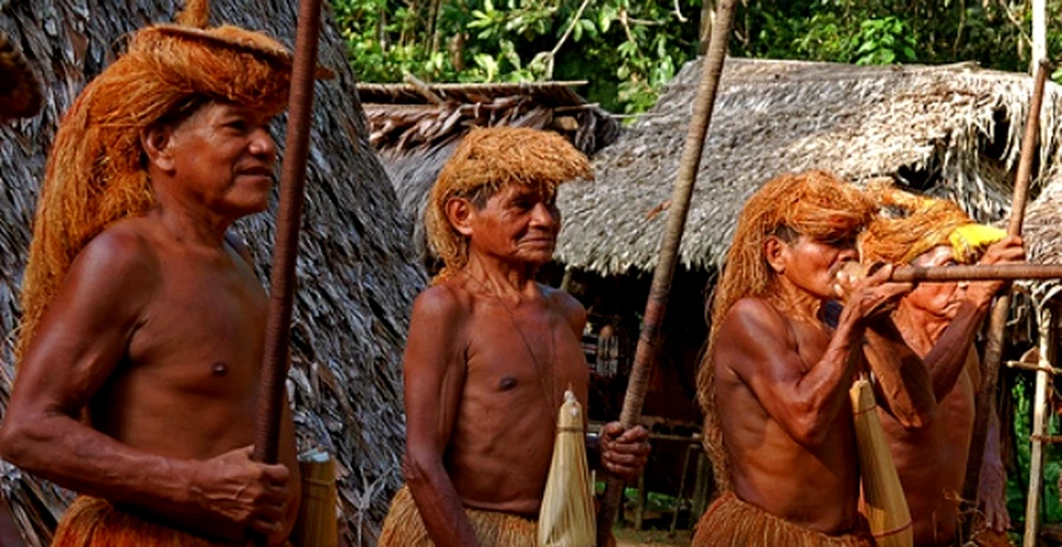 Tribul necunoscut, descoperit anul acesta, a fugit in Brazilia