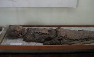 De ce mumiile preistorice din deșertul Atacama aveau creierul foarte mic?