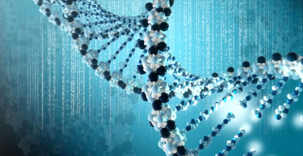 Una dintre cele mai cunoscute tehnici de modificare genetică poate duce la distrugerea bazelor ADN-ului