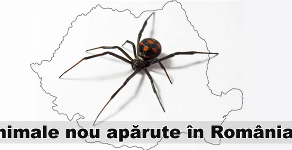 Animale nou apărute în România