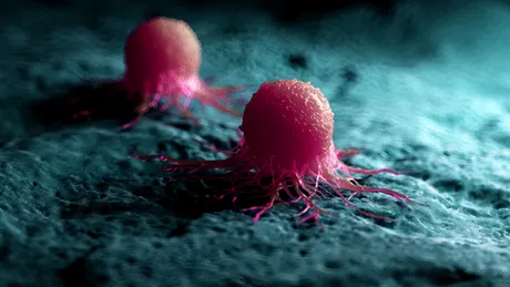 Cercetătorii tratează o formă de cancer cu țesut uman cultivat în laborator