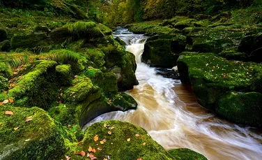 Râul Strid din Anglia, locul unde frumuseţea naturii se îmbină cu legede înfricoşătoare