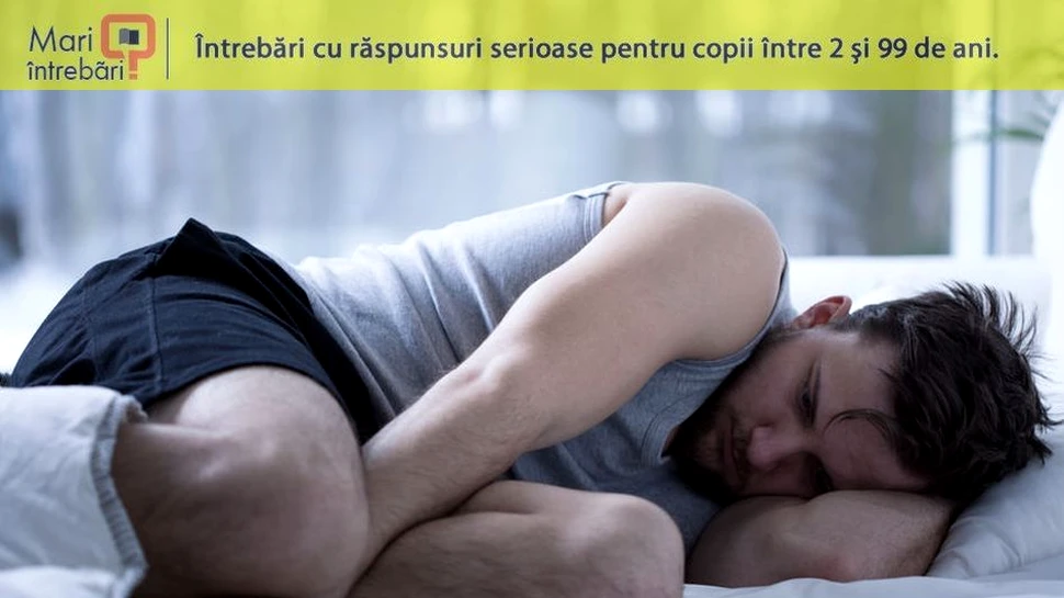 Au şi bărbaţii cicluri hormonale?